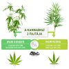 CBD Cremă cu Cannabis - 150 ml