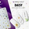 Sticker Unghii - Daisy