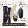 Gel 2 în 1 pentru ștampilare și pictură- Culoarea Șampaniei strălucitor