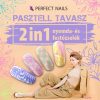 Gel 2 în 1 pentru ștampilare și pictură- Galben Pastel