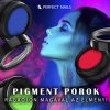 Pudră Pigment pentru decor Unghii - Magenta