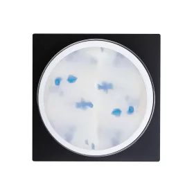 Flower Gel - Gel cu flori uscate Blue - 5g