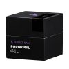 Gel PolyAcryl - Perfect Polygel Clear 50 gr 