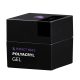 Gel PolyAcryl - Perfect Polygel Clear 50 gr 