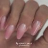 PolyAcryl Prime - Polygel în tub- Cover Dark 30g
