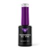Gel pentru Folii de Transfer Xtra - 8 ml