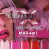Ojă Semipermanentă LaQ X 4 ml - Red Spring X076